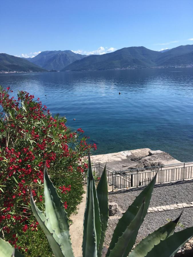 Apartment Tri Kiparisa Tivat Kültér fotó